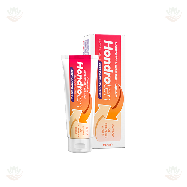 Hondroten