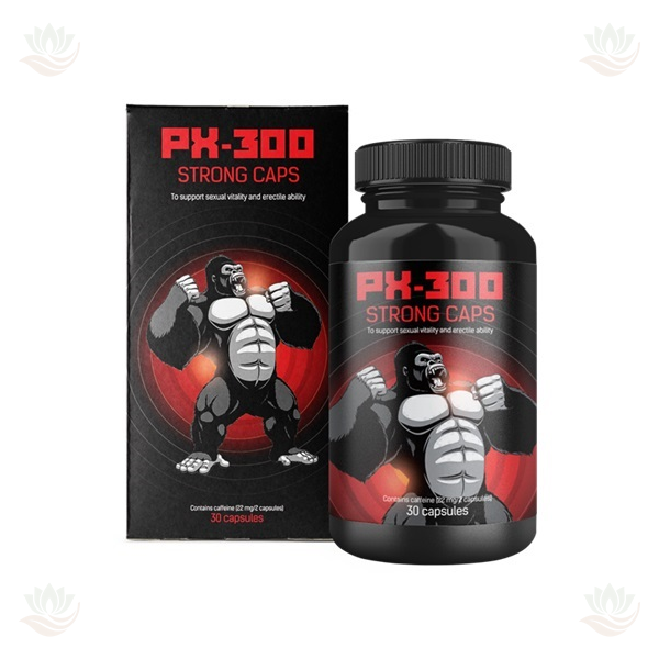 Px-300