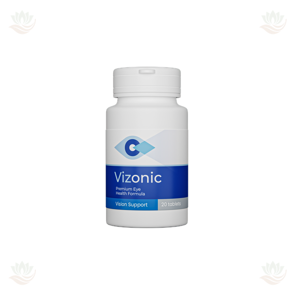 Vizonic